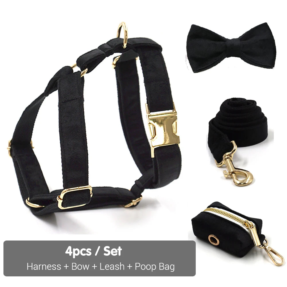 Black Velvet Dog Walking Set