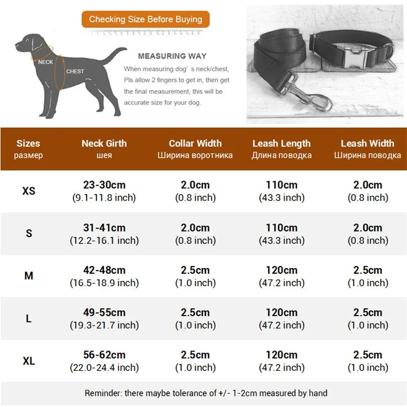 Black Velvet Dog Walking Set