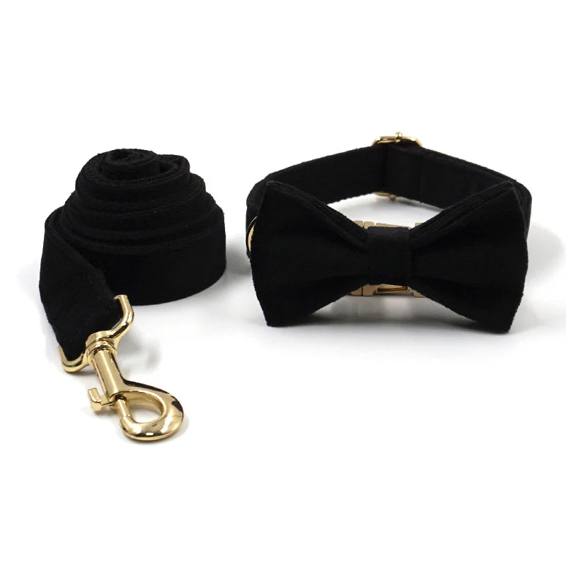 Black Velvet Dog Walking Set