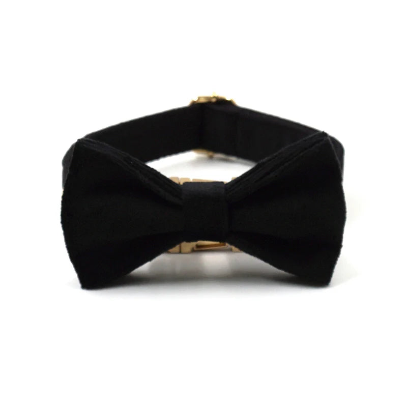 Black Velvet Dog Walking Set