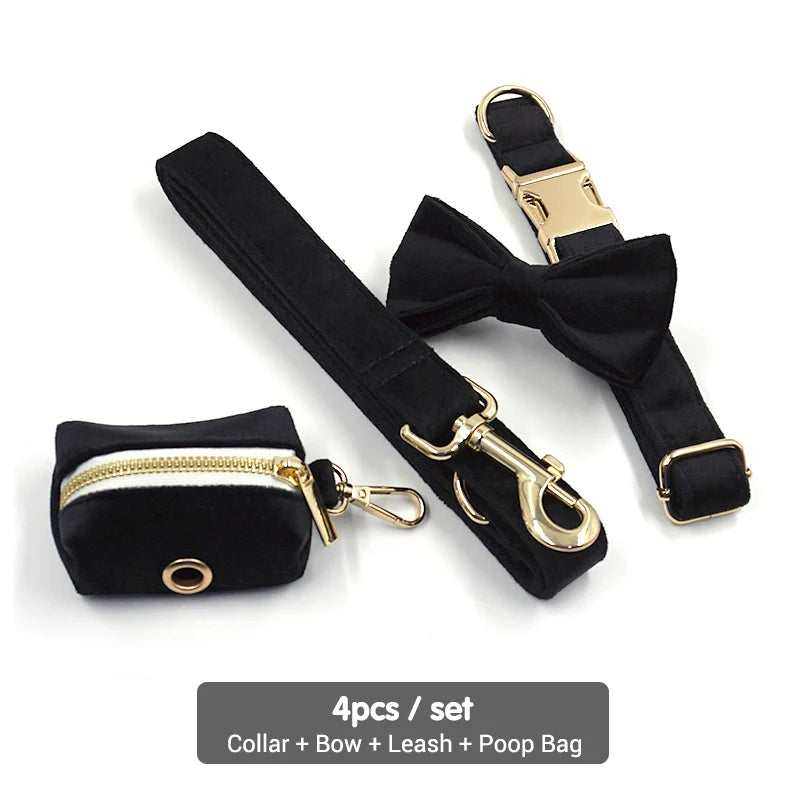 Black Velvet Dog Walking Set