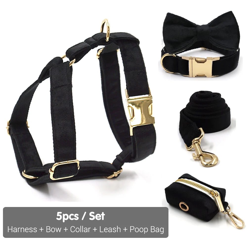 Black Velvet Dog Walking Set
