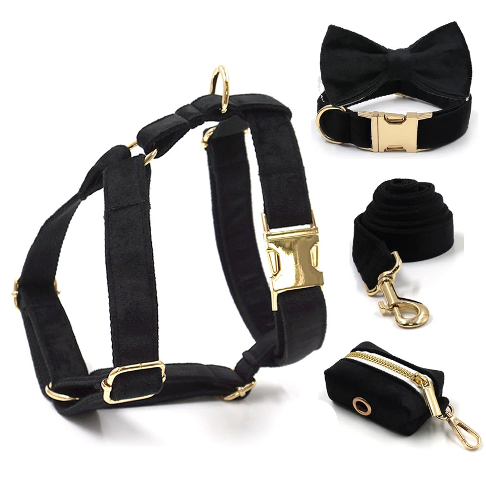 Black Velvet Dog Walking Set