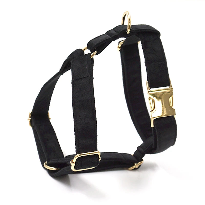 Black Velvet Dog Walking Set