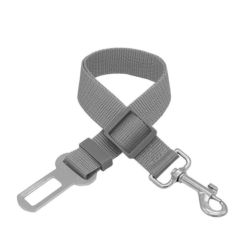 Stay Pet Belt