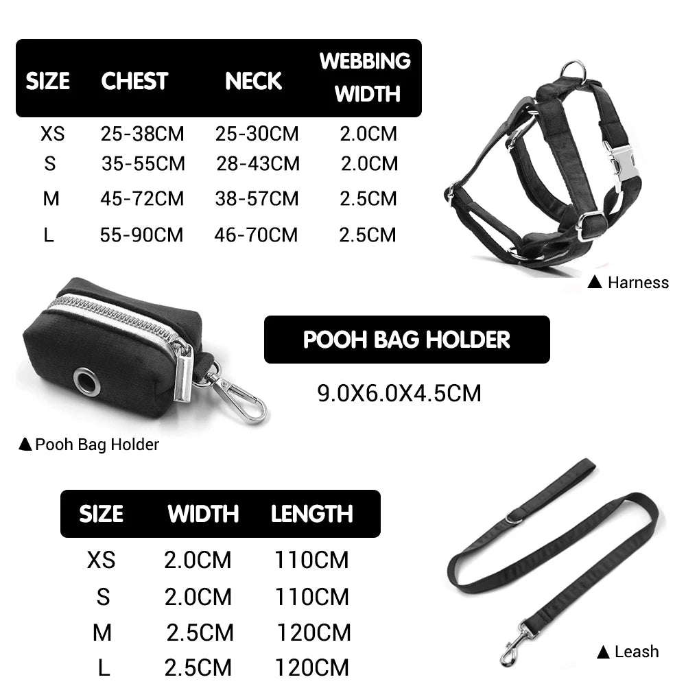 Black Velvet Dog Walking Set