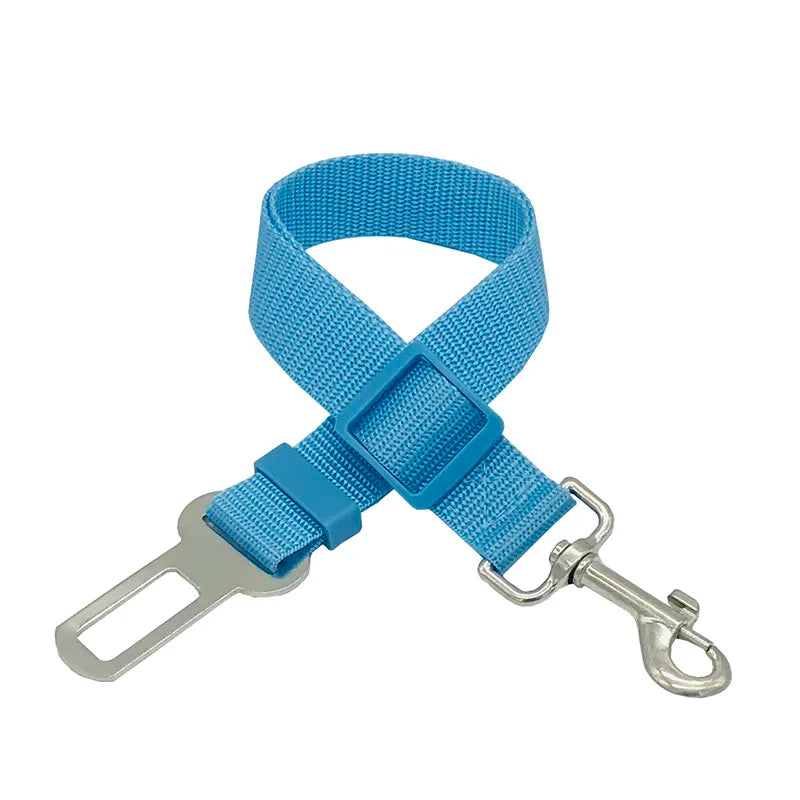 Stay Pet Belt