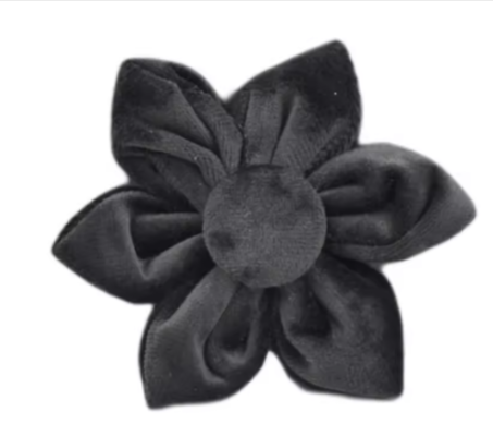 Black Velvet Dog Walking Set