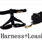 Black Velvet Dog Walking Set