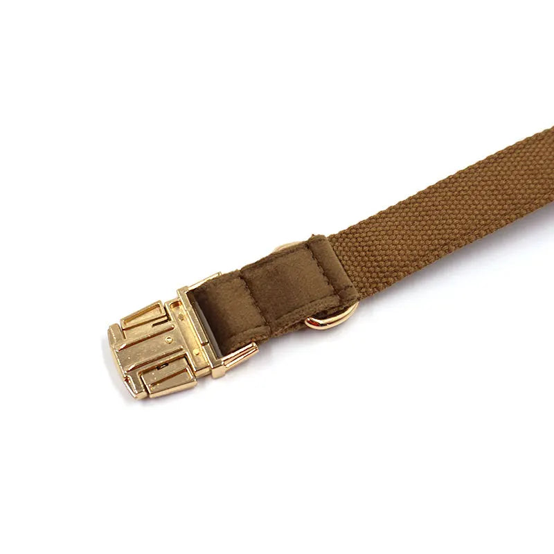 Cafe Latte Velvet Pet Collar