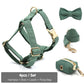 Hunter Harness Set