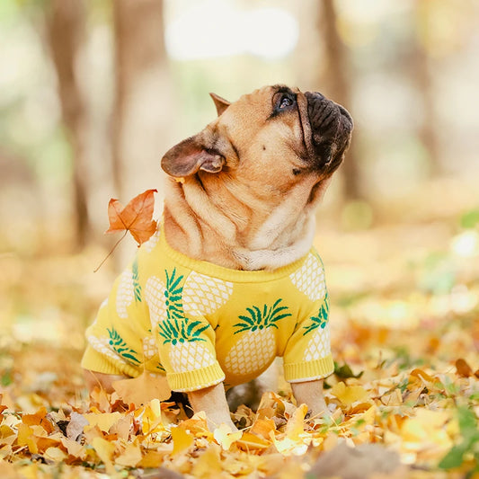 Pineapple Dog Sweater