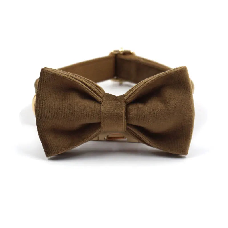 Cafe Latte Velvet Pet Collar