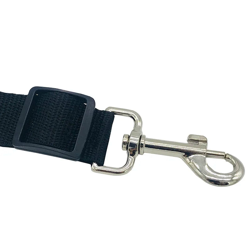 Stay Pet Belt