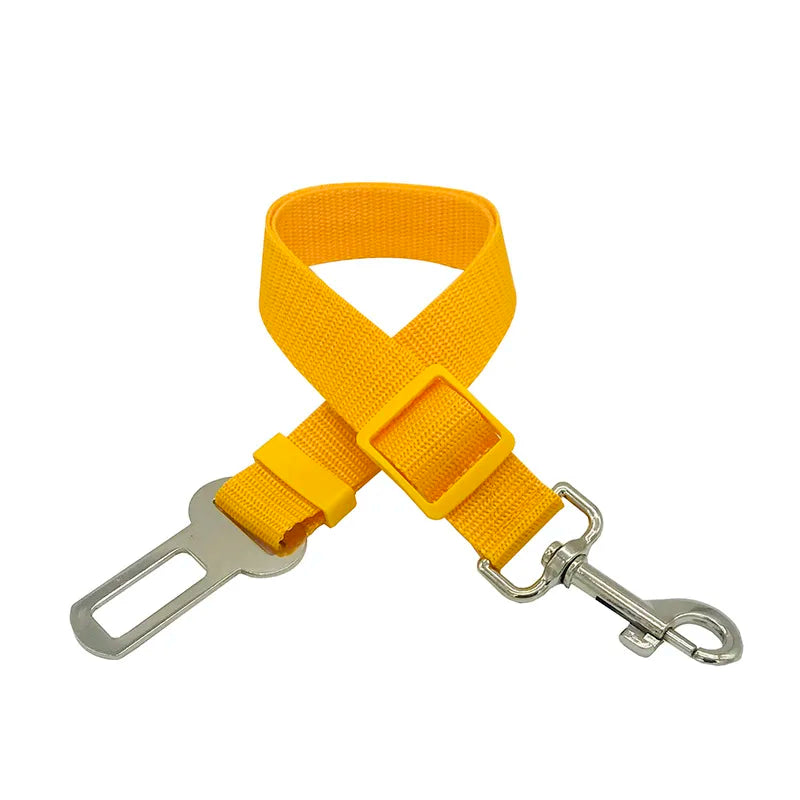 Stay Pet Belt