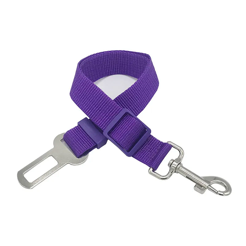 Stay Pet Belt