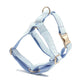 Baby Blue Velvet 5pcs Harness Set