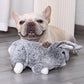 Bunny Heartbeat Pet Toy