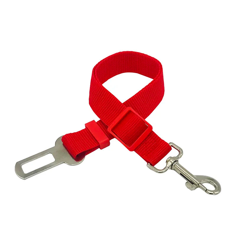 Stay Pet Belt
