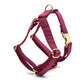 Merlot Velvet Harness Set