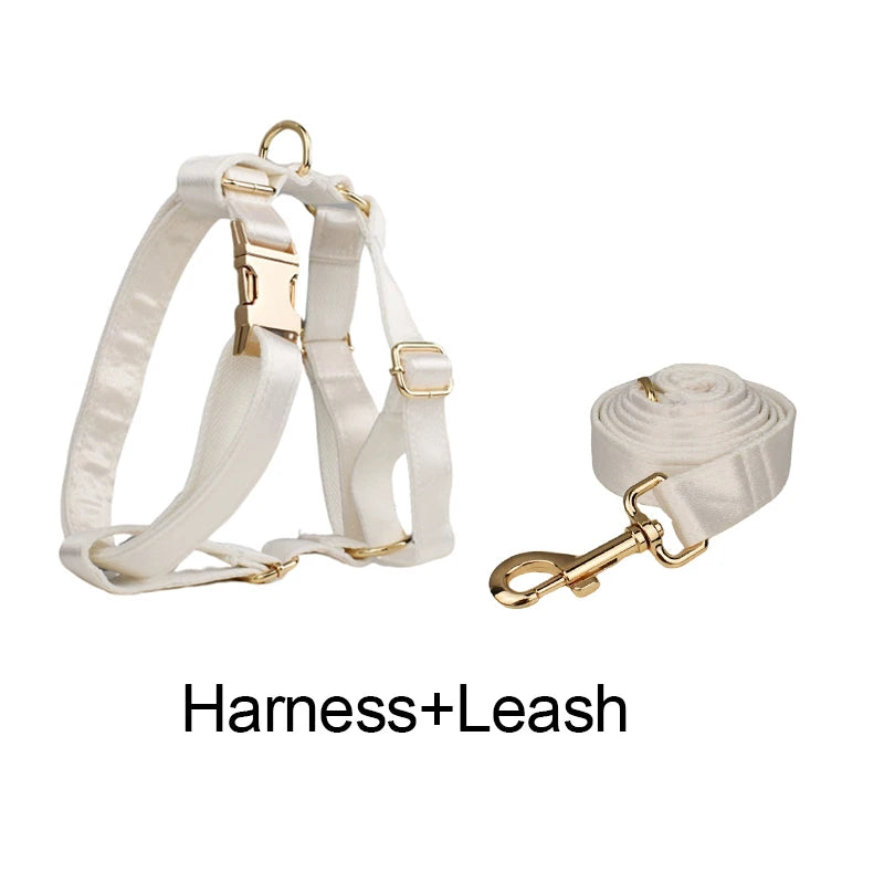 All-White Harness Set