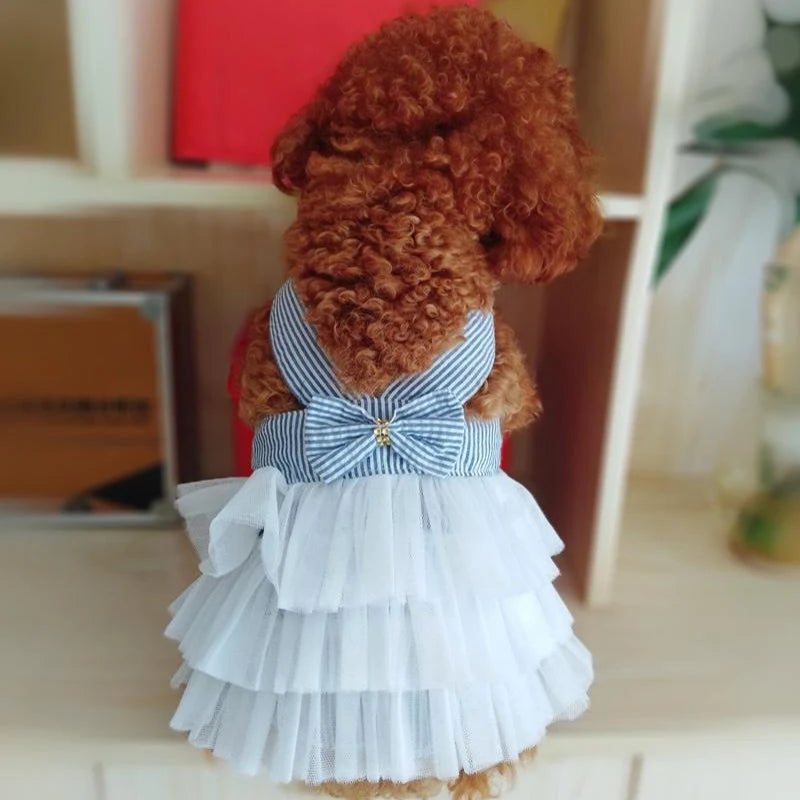 White and Light Blue stripe with bow and white tulle dress for pets