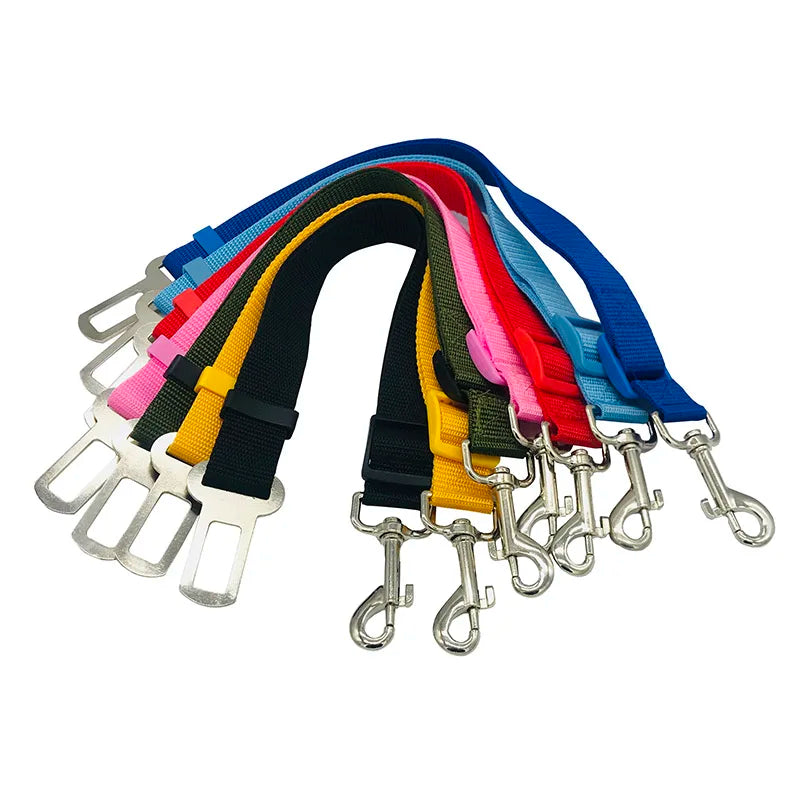 Stay Pet Belt