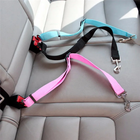 Stay Pet Belt