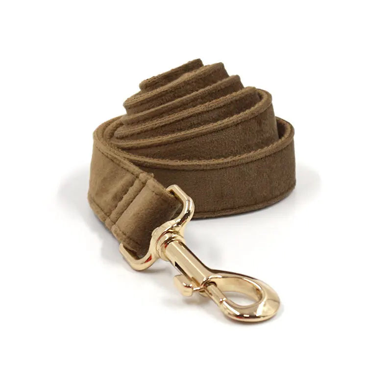 Cafe Latte Velvet Pet Collar