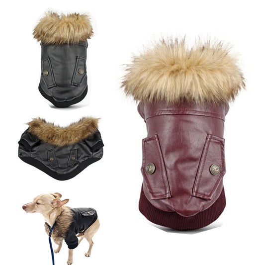 Noble Dog Fur Coat